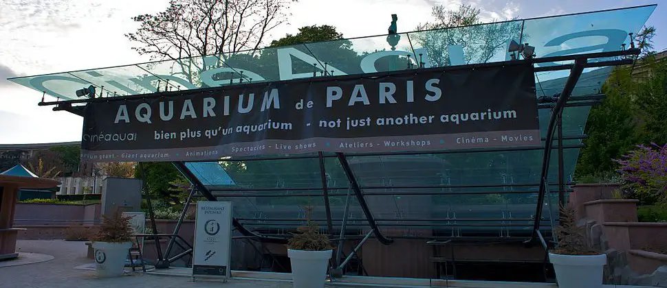 Foto: Los 4 mejores acuarios de París