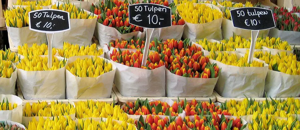 Foto: El mercado de flores de Ámsterdam