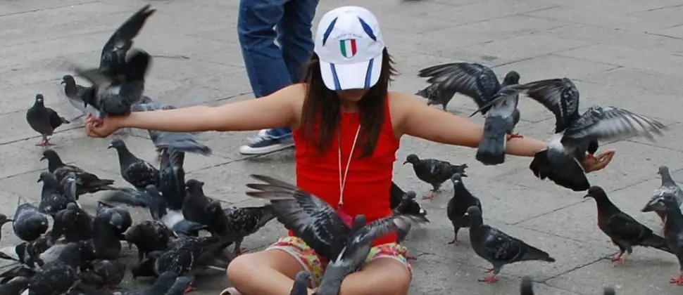 Foto: Las palomas en Venecia